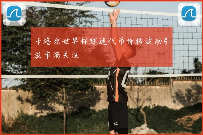 卡塔尔世界杯球迷代币价格波动引发市场关注