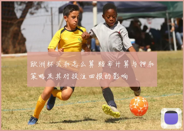 欧洲杯买和怎么算 赔率计算与押和策略及其对投注回报的影响