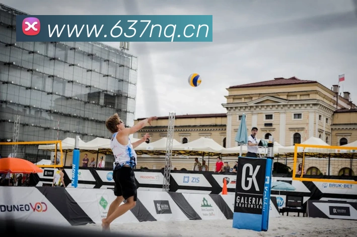 易倍emc官网网页版发展历程